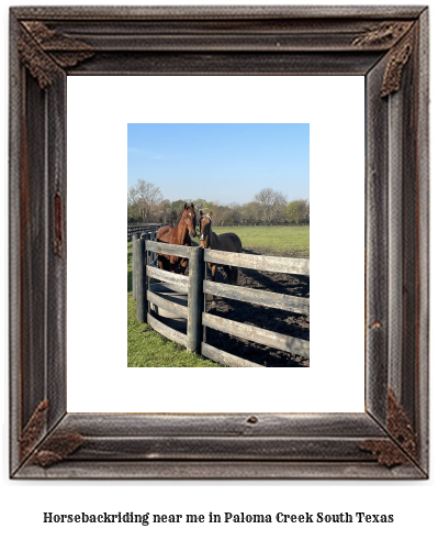 horseback riding near me in Paloma Creek South, Texas